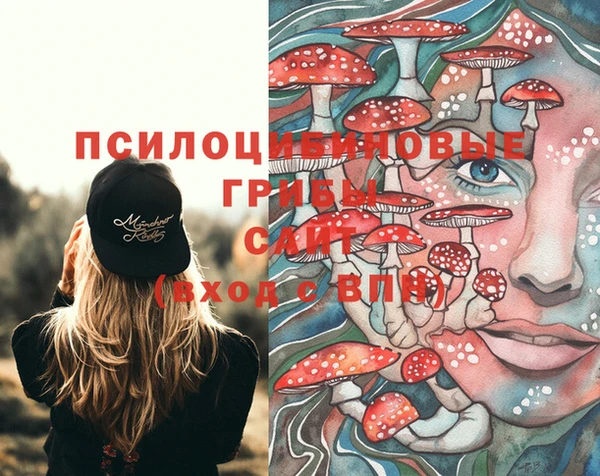 мдма Киреевск