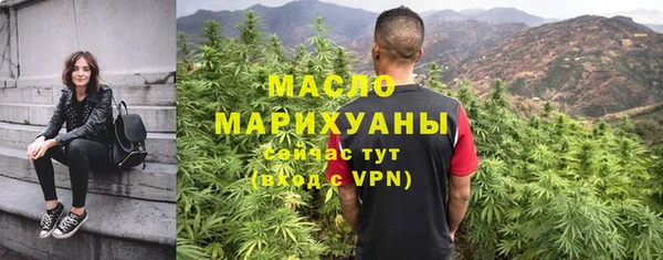 тгк Каменка