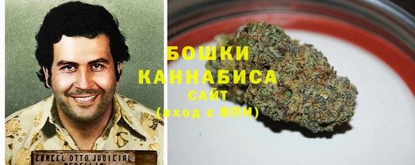 тгк Козельск
