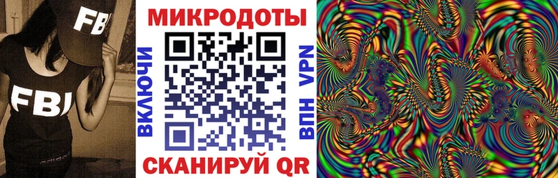 закладки  Катайск  Псилоцибиновые грибы GOLDEN TEACHER 